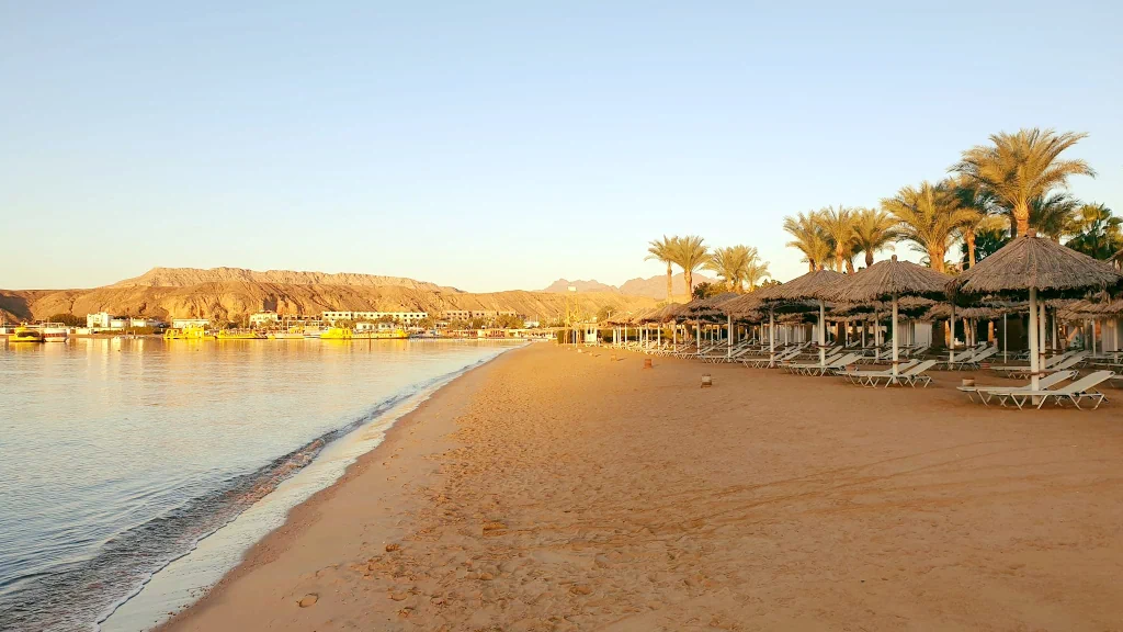 الفندق إبروتيل بالاس - شرم الشيخ